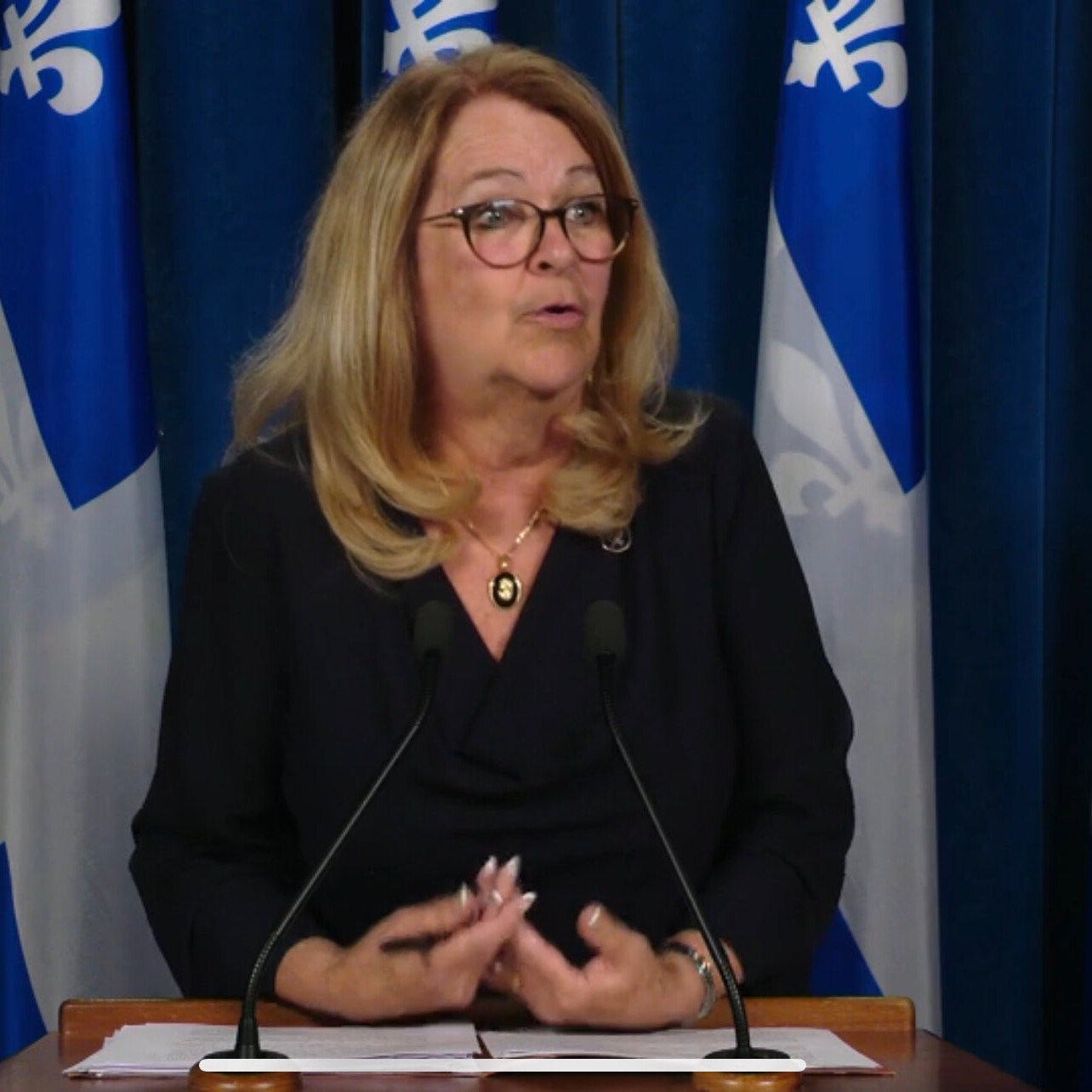 Suzanne Roy, ministre de la famille du Québec, à une conférence de presse portant sur le comité de sages sur l'identité de genre, le 3 juin 2025, à l'Assemblée nationale du Québec.