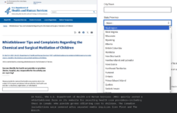 Screenshot from The Breach. It shows the Health and Human Services website and a form titled 